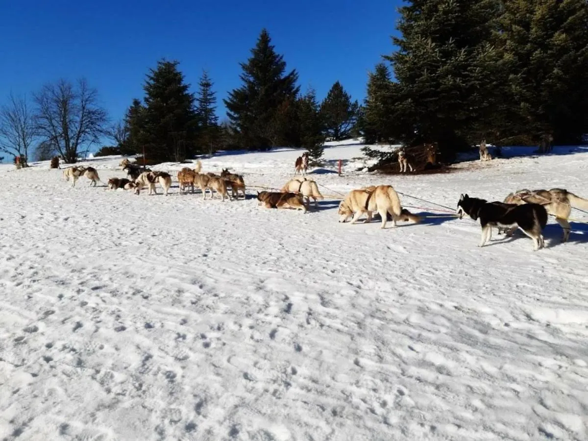 Semesterbostad Gite 110M²: 3 Ch, Terrasse, Jardin, Animaux Acceptes, Wifi, Charges Incluses, Draps Fournis - Fr-1-496-248 Saint-Jean-la-Vetre Frankrike